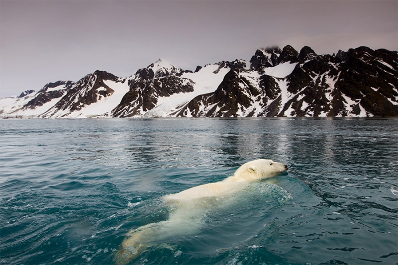 Необитаемые острова и «ад в раю»: кого Трамп счел торговыми