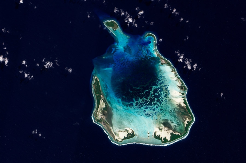 Необитаемые острова и «ад в раю»: кого Трамп счел торговыми