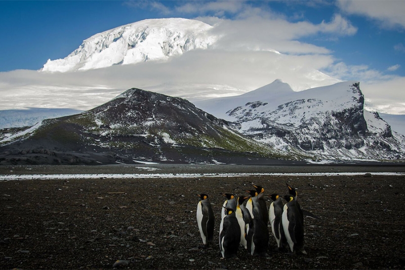 Необитаемые острова и «ад в раю»: кого Трамп счел торговыми