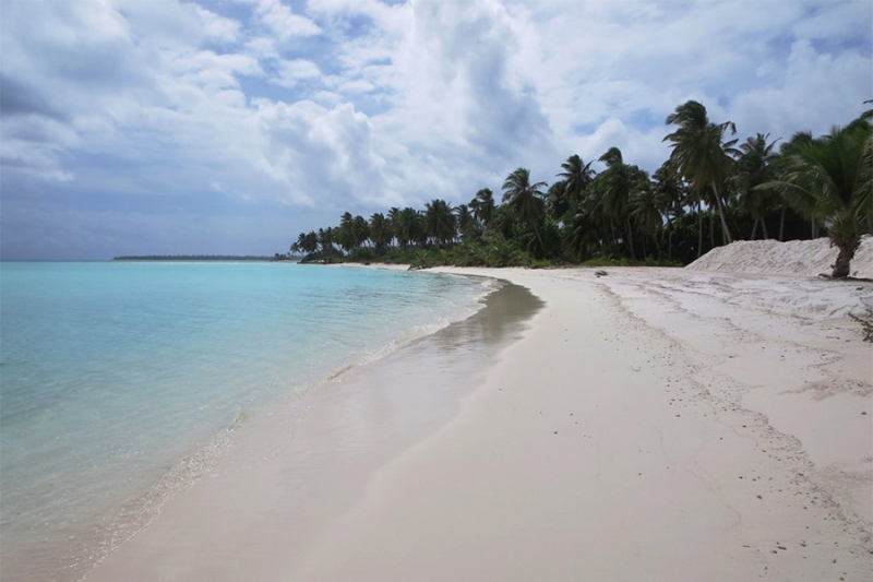 Необитаемые острова и «ад в раю»: кого Трамп счел торговыми