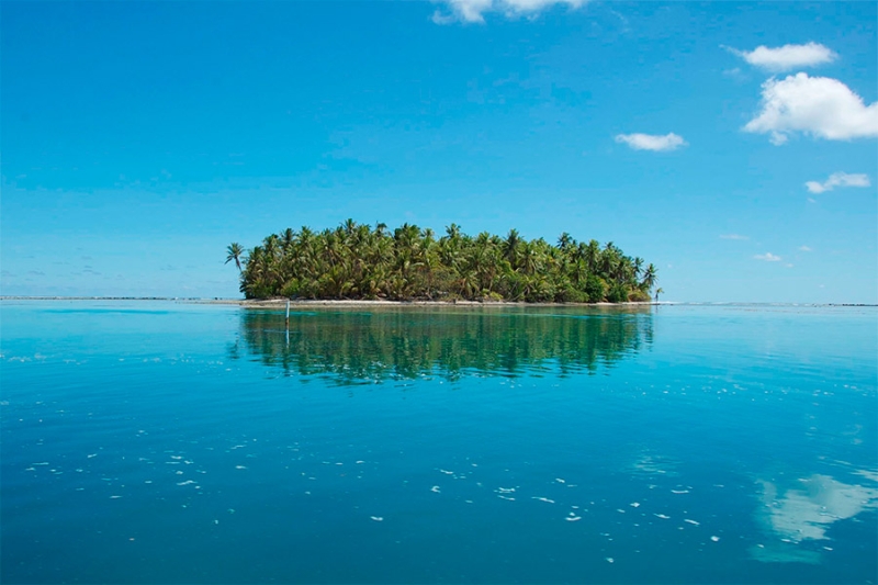 Необитаемые острова и «ад в раю»: кого Трамп счел торговыми