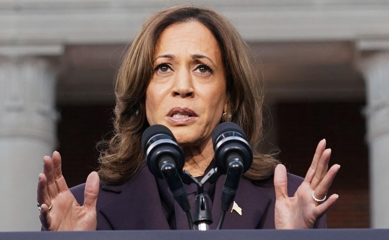 Newsweek перечислил возможные шаги Харрис после поражения на выборах