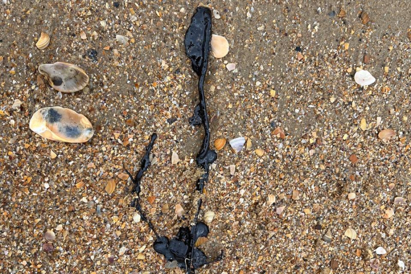 «Никто ничего не понимает». Репортаж РБК с пляжей Анапы