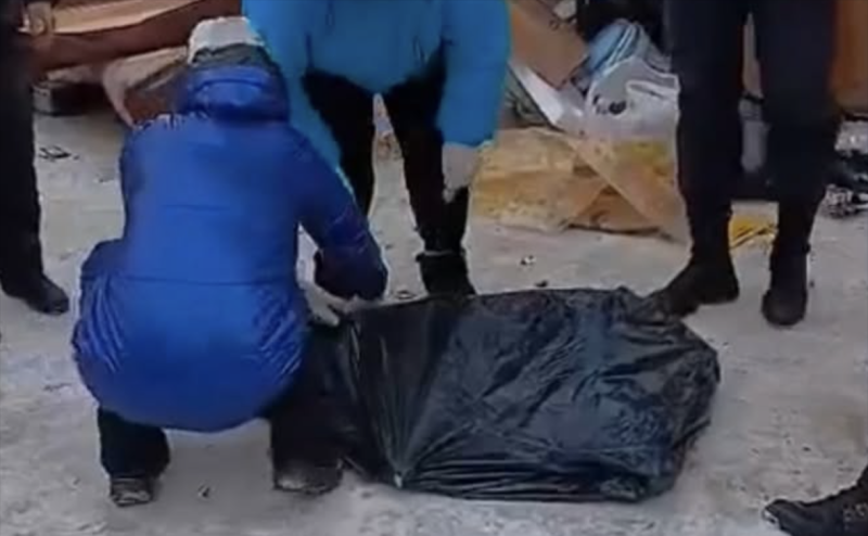 Нижний Новгород предупредил о массовом убийстве собак при принятии