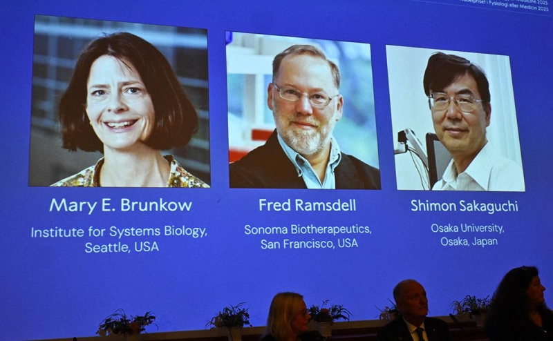 Нобелевку по медицине дали за открытия в сфере иммунной толерантности