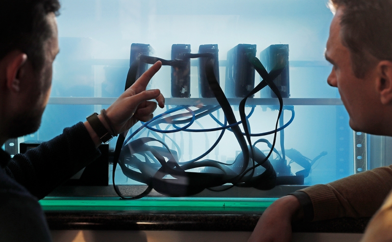 Новак заявил об идущей от регионов инициативе по налогам для майнеров