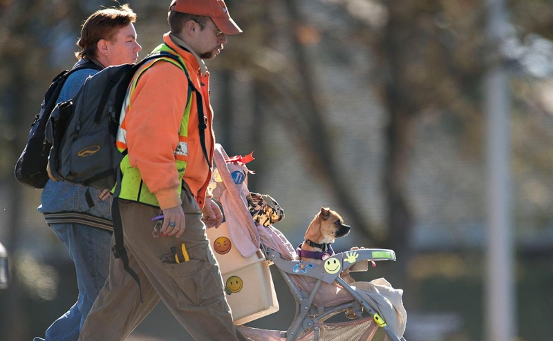 «Новые люди» ответили на критику Володина из-за законопроекта о
