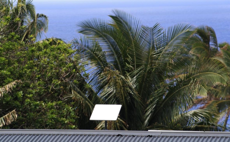 NYT назвала страну Латинской Америки, которая сказала Илону Маску