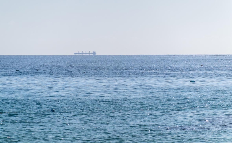 NYT рассказала, как идущее из России судно сочли &laquo;мегабомбой&raquo;