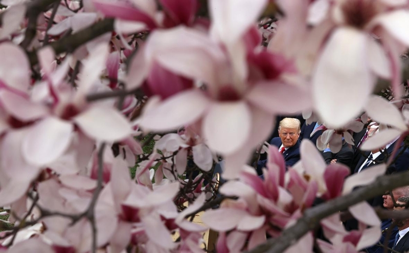 NYT рассказала о «подарке» Трампа Москве