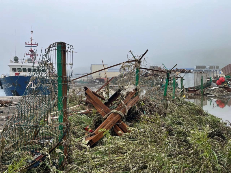 NYT сообщила о планах Трампа встретиться с Путиным на следующей неделе