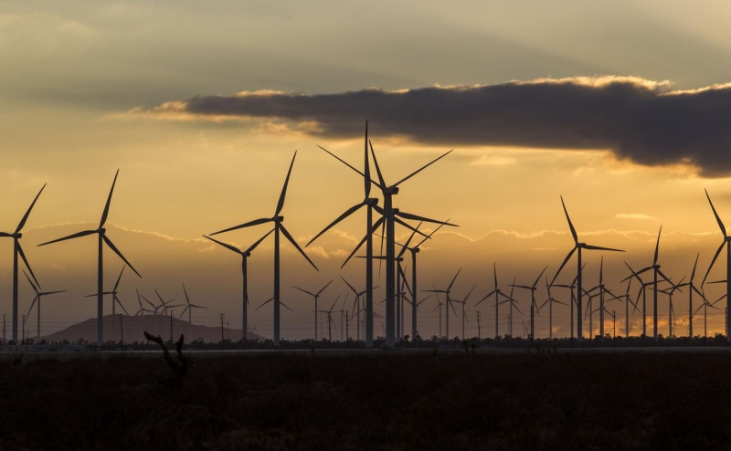 NYT узнала о планах частных инвесторов построить новый город в