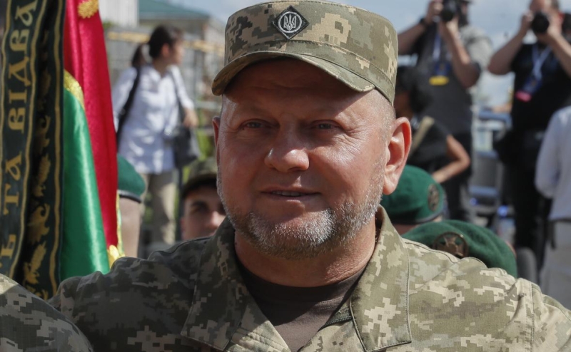 NYT узнала, почему Зеленский не уволил Залужного