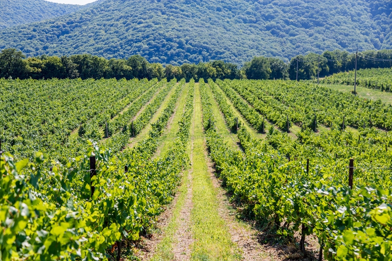 О чем бизнес попросил на встрече у Путина. Главное