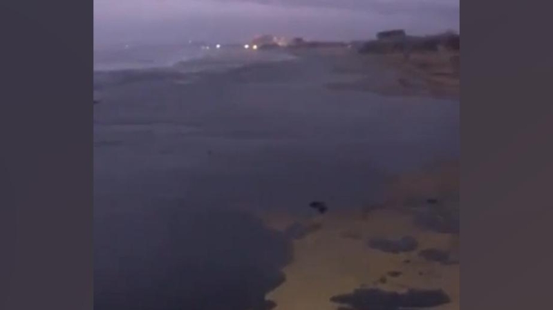 О чем Путин говорил на прямой линии. Главное