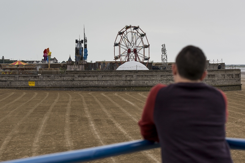 Обезьяны в парламенте, шредер и плакат в крови: 10 значимых работ