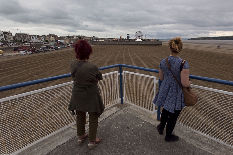 Обезьяны в парламенте, шредер и плакат в крови: 10 значимых работ