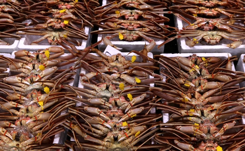 Один из крупнейших добытчиков минтая объяснил отставание рыбной отрасли