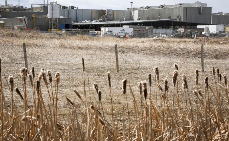 Один из крупнейших в мире поставщиков прекратит экспорт зерна из