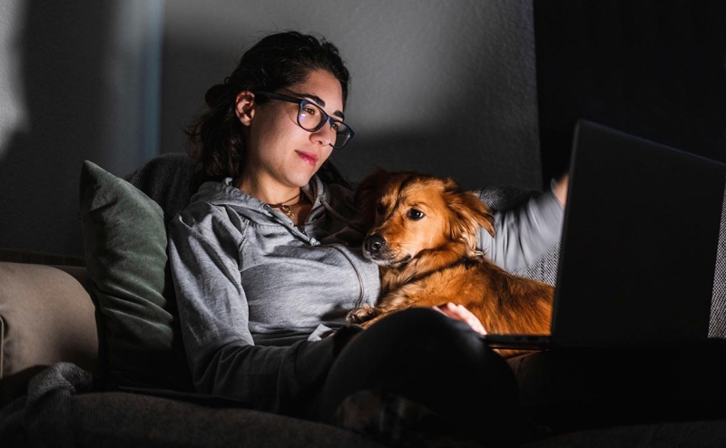 Онлайн-кинотеатры потеряли за год половину голливудского контента