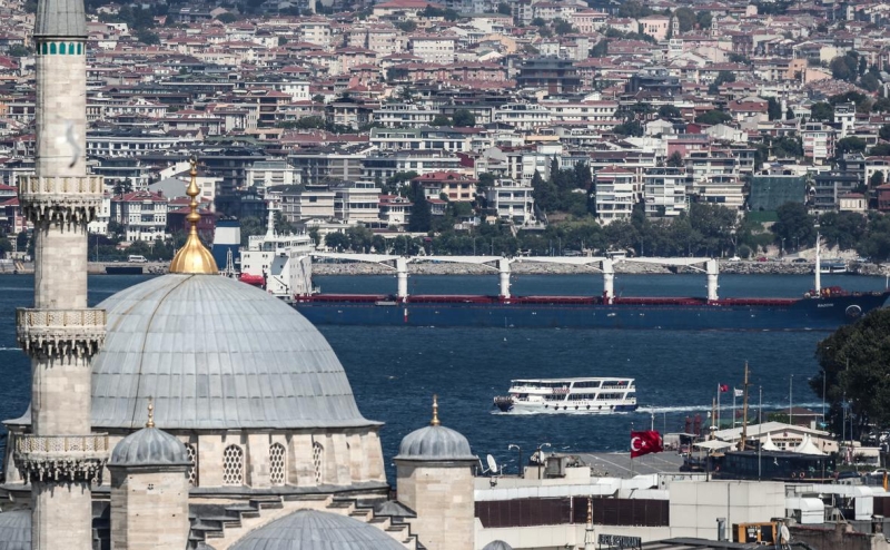 ООН заявила об отсутствии экспорта удобрений в рамках зерновой сделки