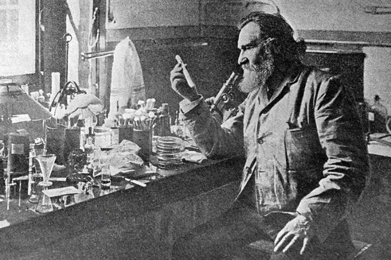 От Павлова до Муратова: Кто из россиян получал Нобелевскую премию