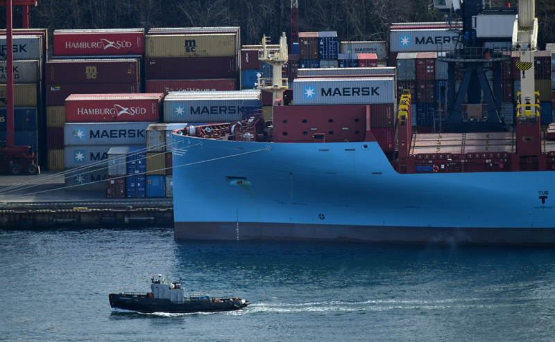 Партнера братьев Скигиных по конопле и платным дорогам объявили в