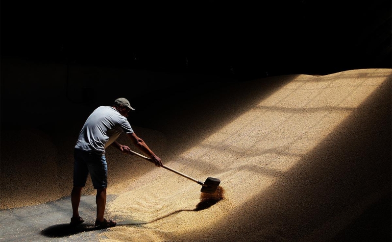 Пекари назвали причины подорожания производства хлеба