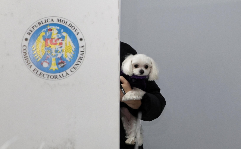 Первые результаты показали победу противников евроинтеграции&nbsp;Молдавии