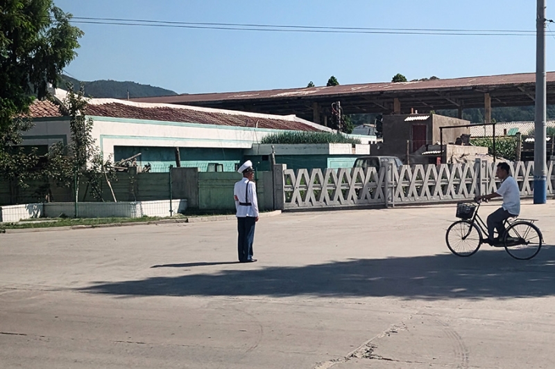 Первые туристы из России описали отдых на курорте в Северной Корее