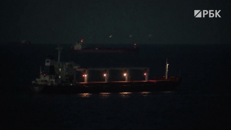 Первый украинский сухогруз прибыл к Стамбулу