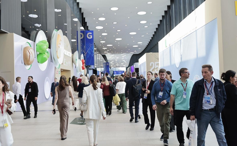 «Пешком до Геленджика не дойдешь»: Бизнесмены назвали желаемую ставку