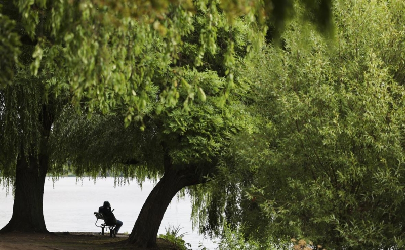 Песков заявил, что любые мессенджеры &laquo;абсолютно прозрачны&raquo; для
