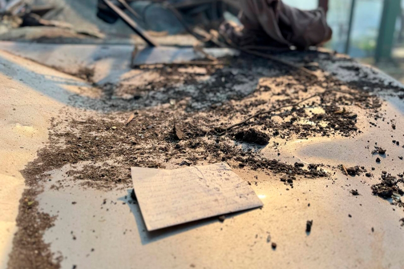 Пять человек пострадали при взрыве в Белгороде