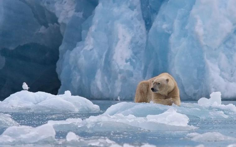Плавучей станции Tara запретили «прослушку» в российских водах Арктики