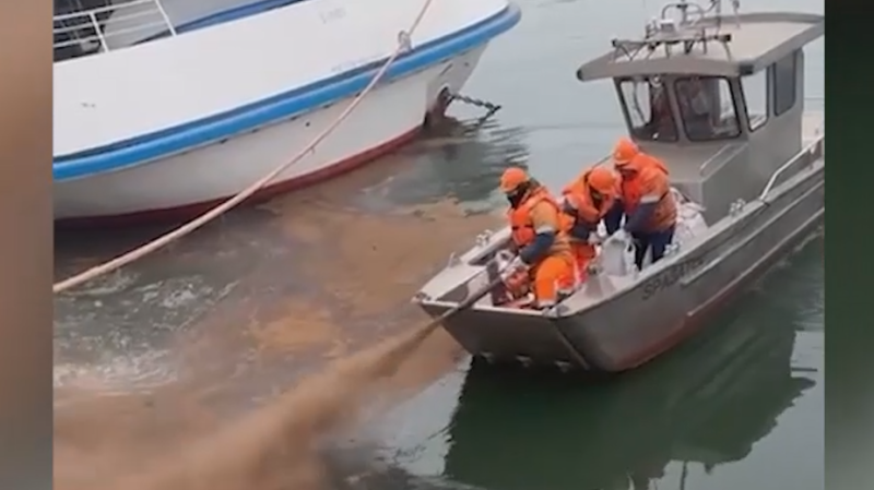 По реке Дон разлился растворитель