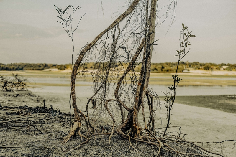 Победители World Press Photo&nbsp;&mdash; 2025. Фотогалерея