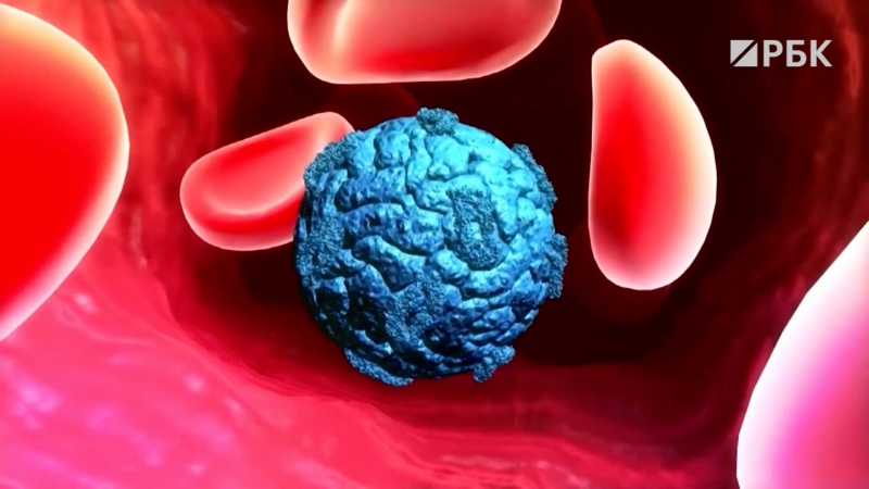 Почему вирусологи усомнились в данных об универсальном антителе от COVID