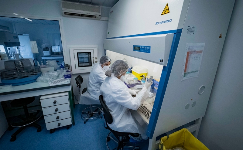 Почему вирусологи усомнились в данных об универсальном антителе от COVID