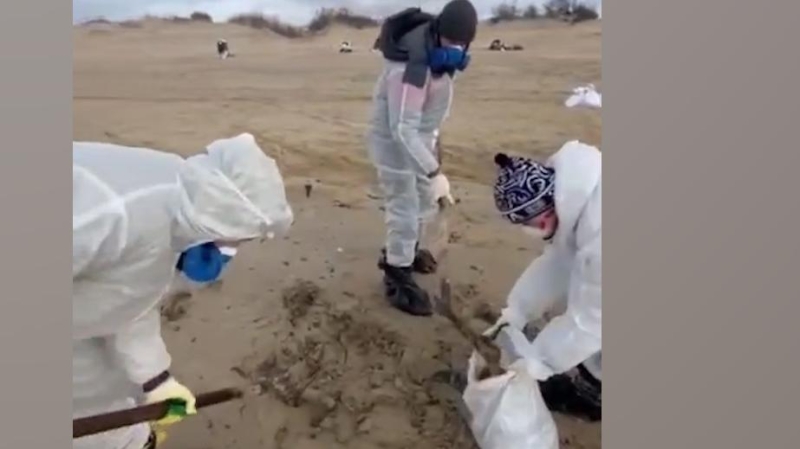 Почти 150 участников очистки побережья от мазута обратились к медикам