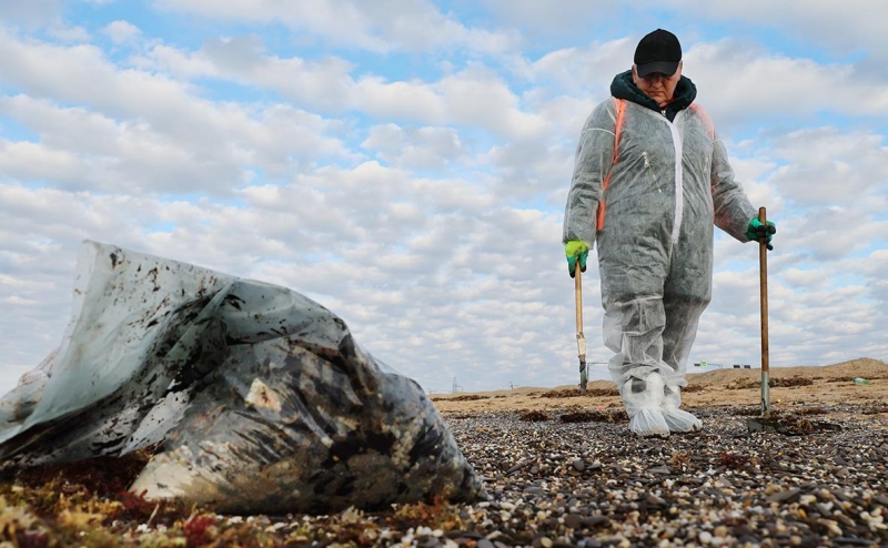 Почти 150 участников очистки побережья от мазута обратились к медикам