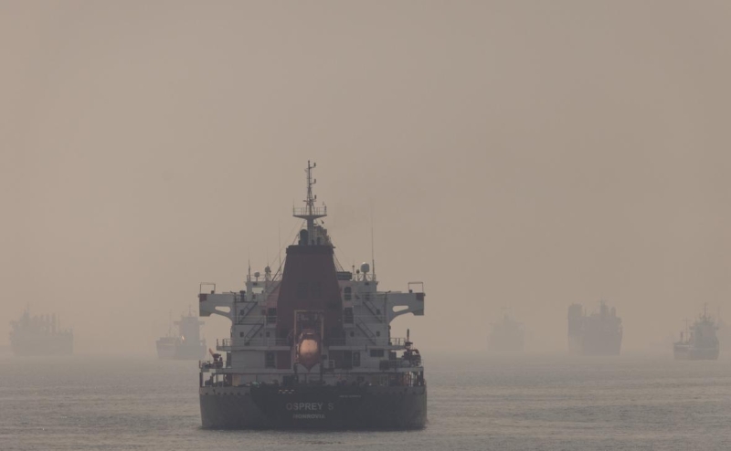 Подоляк заявил, что суда не зайдут в порты Украины без зерновой сделки