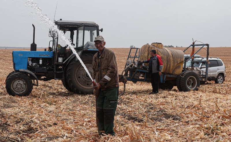 Погибшие и брошенные стада, угнанная техника: как живут курские