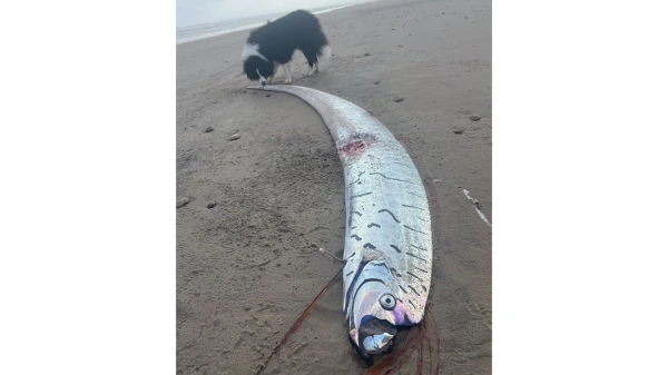 «Похищенный» с Ярославского вокзала блогер вышел на связь