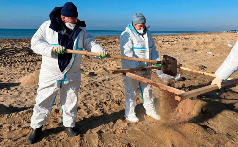 «Покупатели постоянно нюхают хамсу»: безопасна ли рыба из Черного моря
