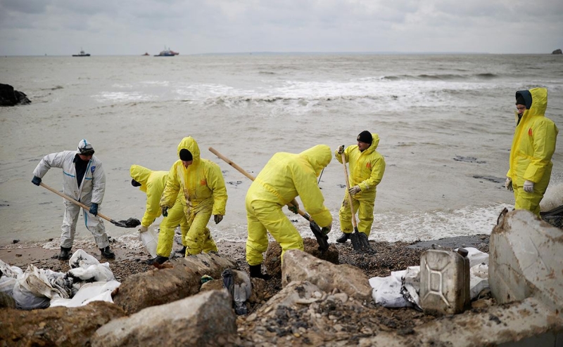 «Покупатели постоянно нюхают хамсу»: безопасна ли рыба из Черного моря