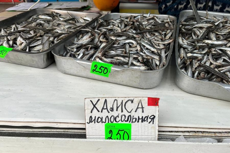 «Покупатели постоянно нюхают хамсу»: безопасна ли рыба из Черного моря