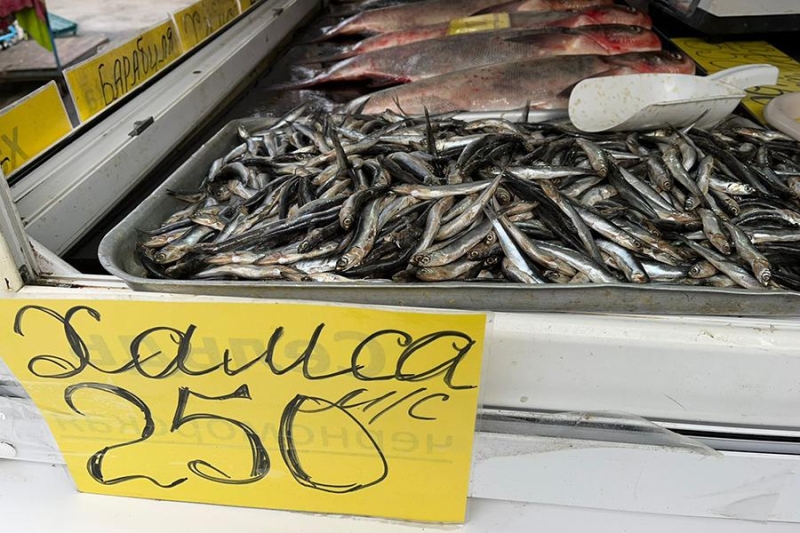 «Покупатели постоянно нюхают хамсу»: безопасна ли рыба из Черного моря