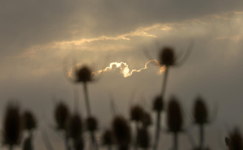 Politico узнала о провале попытки ученых в США затемнить солнечные