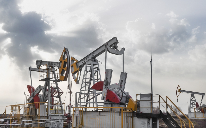 Польша поможет странам ЕС отказаться от энергоносителей из России